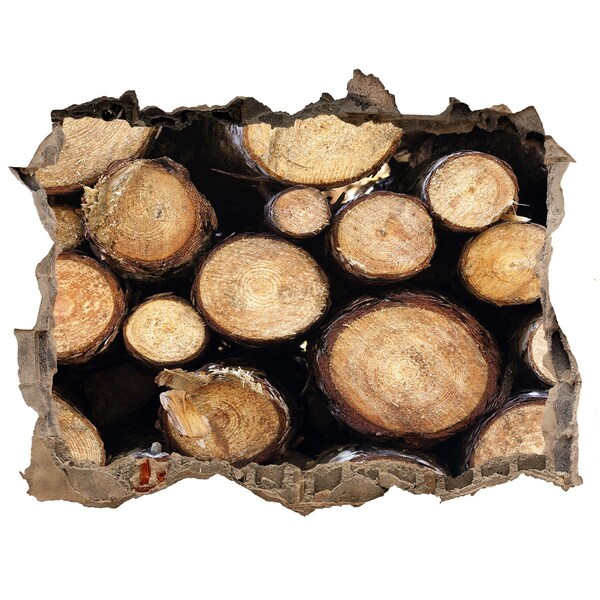 Samolepící nálepka na zeď Drevo v diere v stene