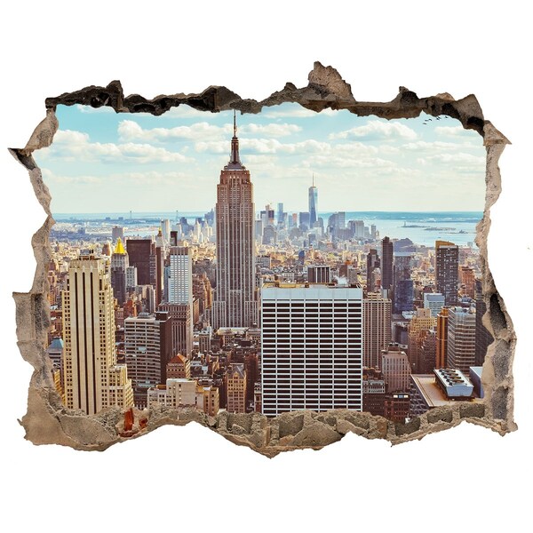 Fototapeta díra na zeď 3D New york letu vták