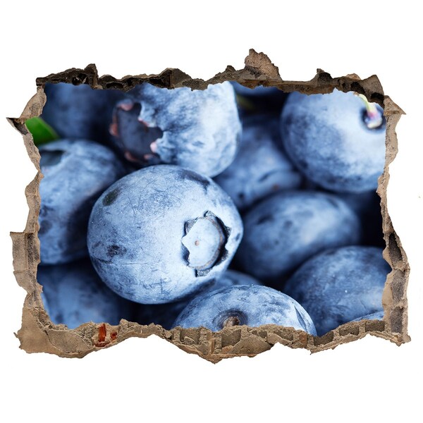 Nálepka 3D díra Bobule v betónovej diere