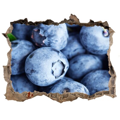 Nálepka 3D díra Bobule v betónovej diere