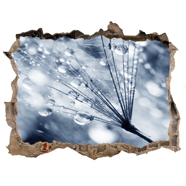 Samolepící nálepka Kvapky rosy na púpave