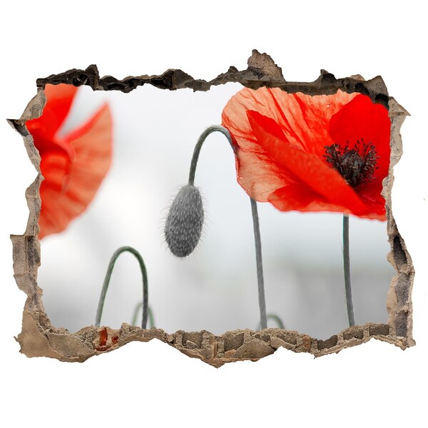 Samolepící nálepka na zeď fototapeta Kvety v diere v stene