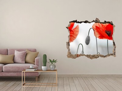 Samolepící nálepka na zeď fototapeta Kvety v diere v stene