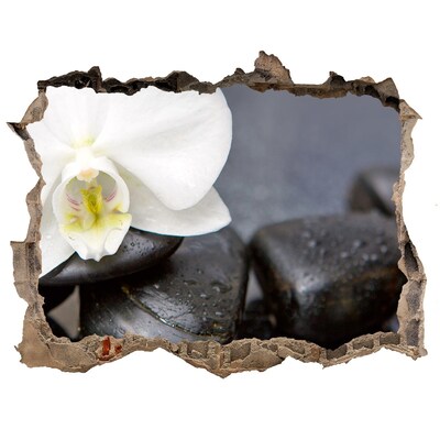 Samolepící nálepka fototapeta Kvety a kamene v kúpeľoch