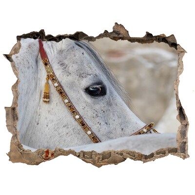Díra 3D fototapeta nálepka Biela arabský kôň