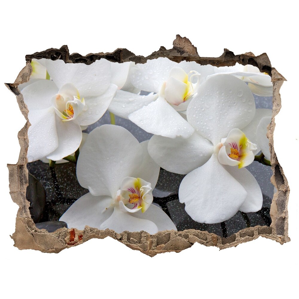 Samolepící nálepka fototapeta Orchidea
