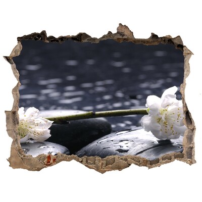 Samolepící nálepka fototapeta Kvety na kameňoch