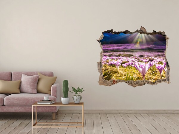 Díra 3D ve zdi nálepka Kvetinové pole na slnku