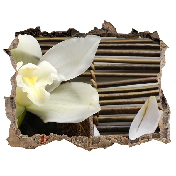 Fototapeta nálepka na zeď Kvetinová oáza medzi kameňmi