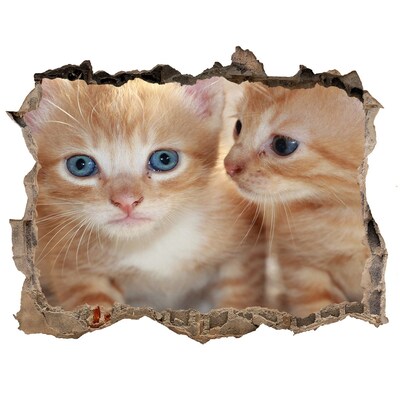 Díra 3D fototapeta nálepka Malé mačky
