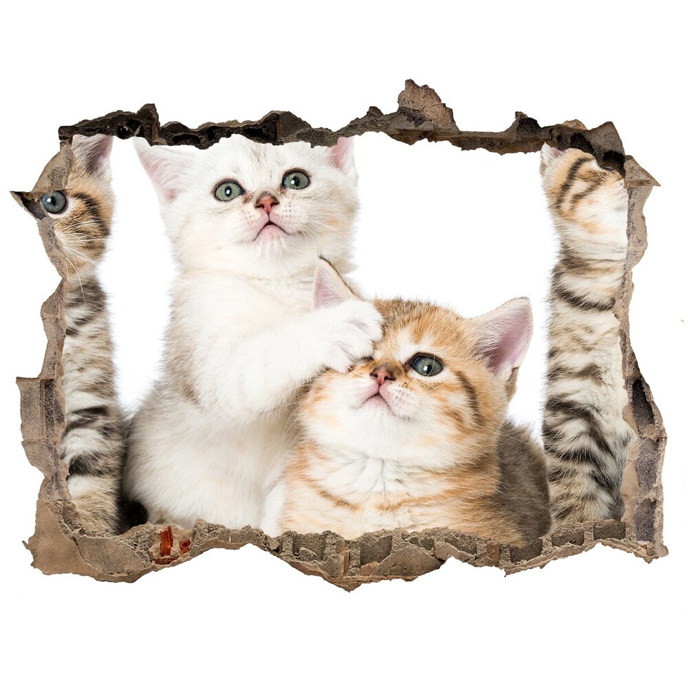 Díra 3D fototapeta nástěnná Nálepka malé mačky