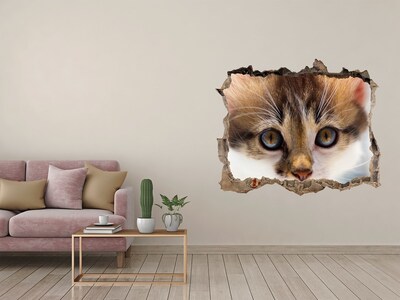 Díra 3D fototapeta nástěnná Malá mačka nálepka