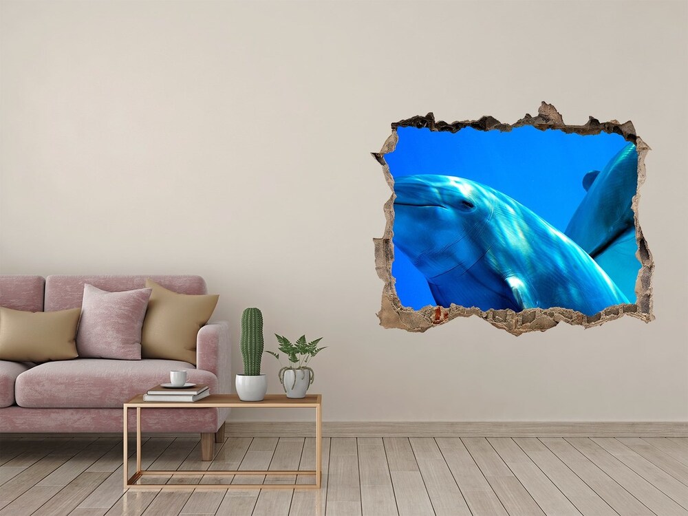 Díra 3D fototapeta nástěnná Dva delfíny