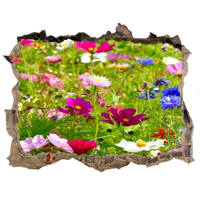 Samolepící nálepka fototapeta Poľné kvety