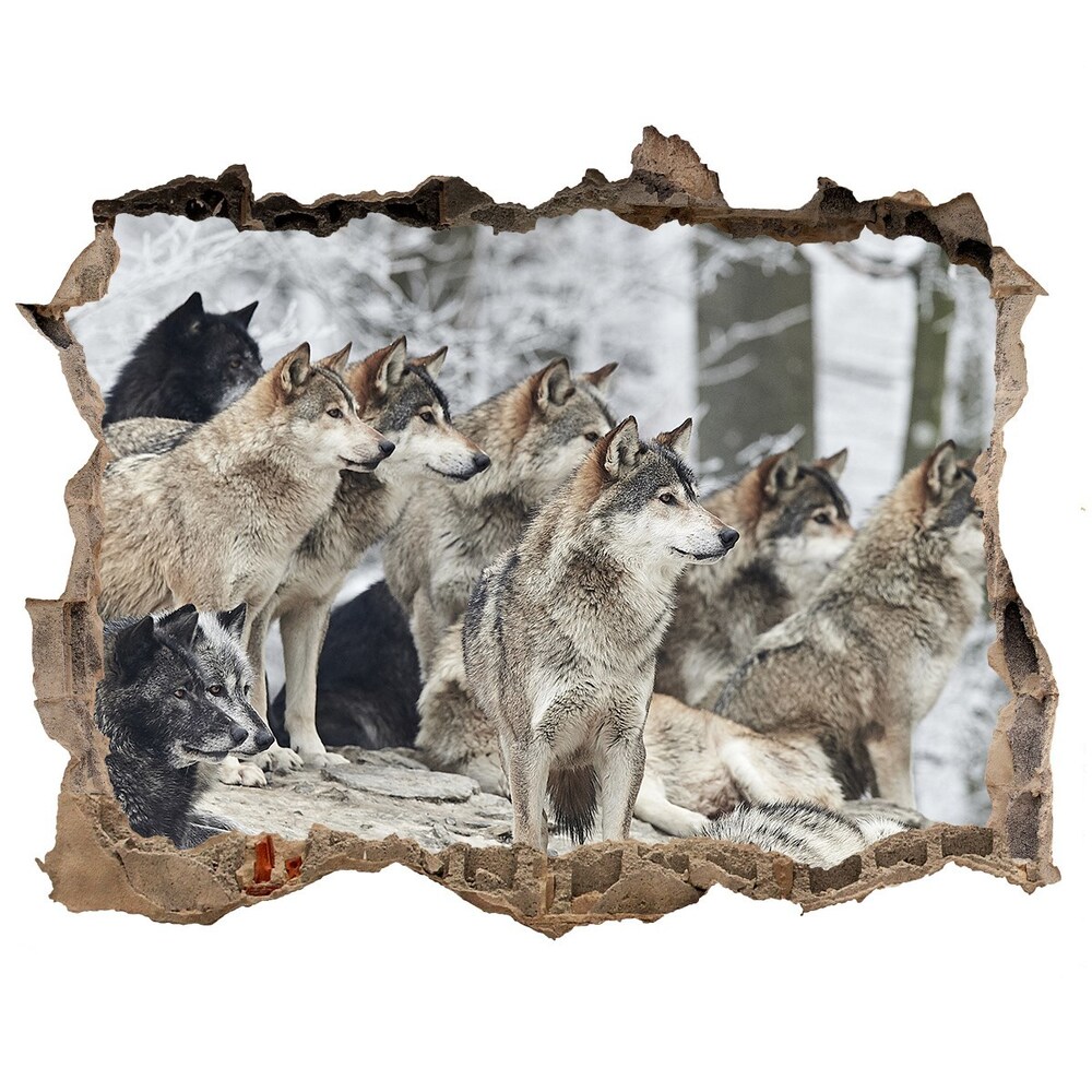 Díra 3D fototapeta nástěnná Nálepka vlci v zime