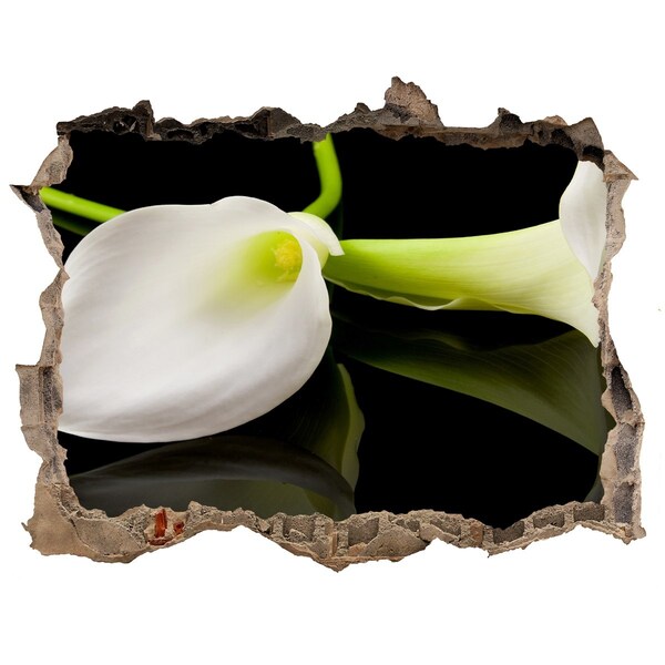 Samolepící nálepka fototapeta Kvet v betóne