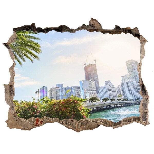Fototapeta díra na zeď 3D Miami usa