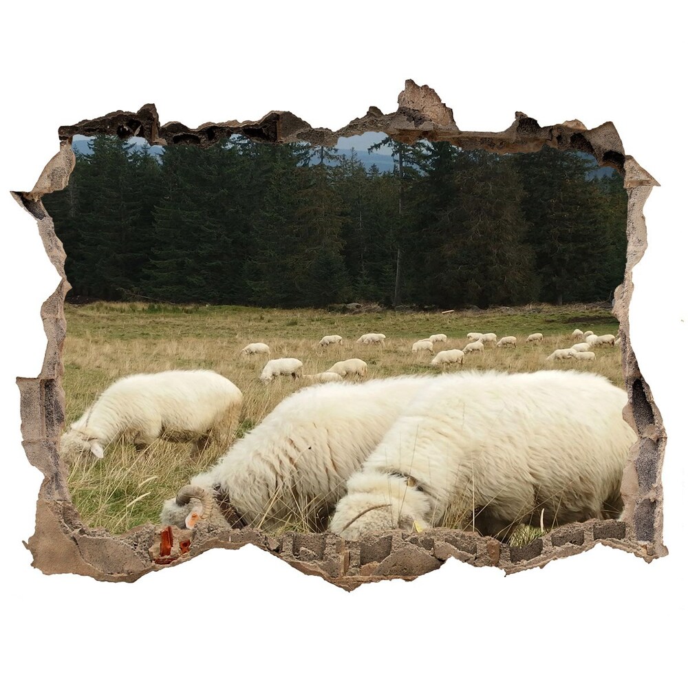 Díra 3D fototapeta nálepka Pasúce sa ovce