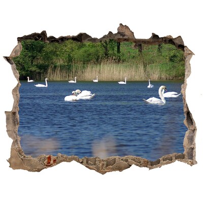 Díra 3D fototapeta nálepka Biele labute
