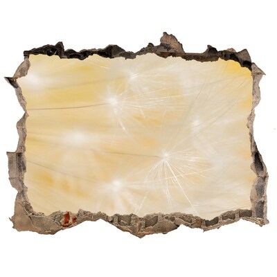 Samolepící nálepka na zeď Kvetinový priestor za stenou