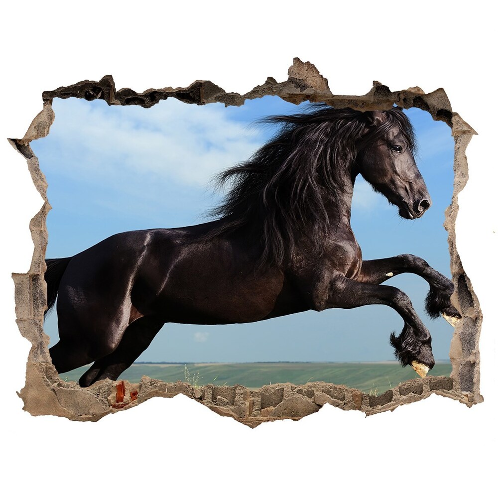 Díra 3D fototapeta na stěnu Čierny kôň na lúke
