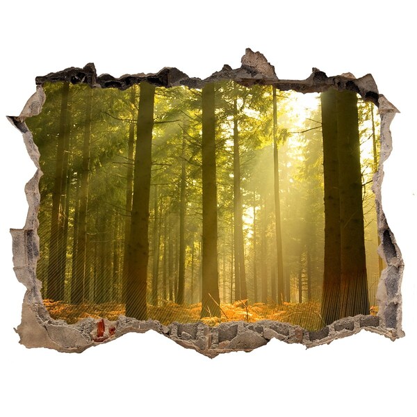 Díra 3D ve zdi nálepka Forest na slnku