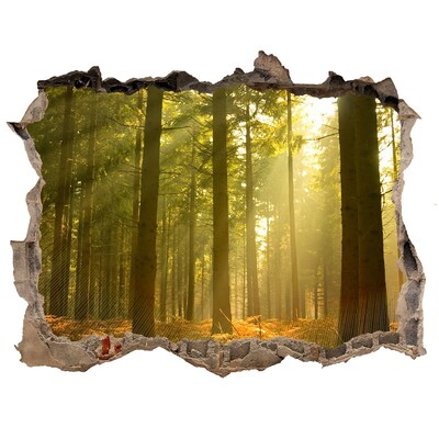 Díra 3D ve zdi nálepka Forest na slnku