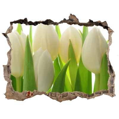 Samolepící nálepka fototapeta Tulipány