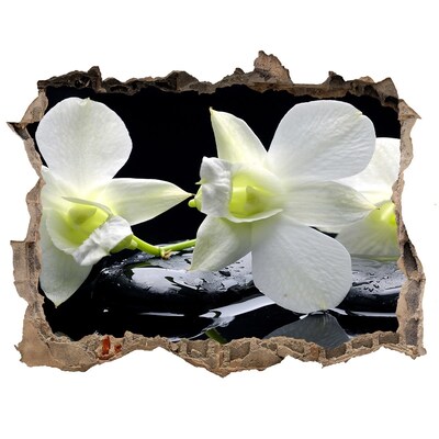 Samolepící nálepka fototapeta Orchidea