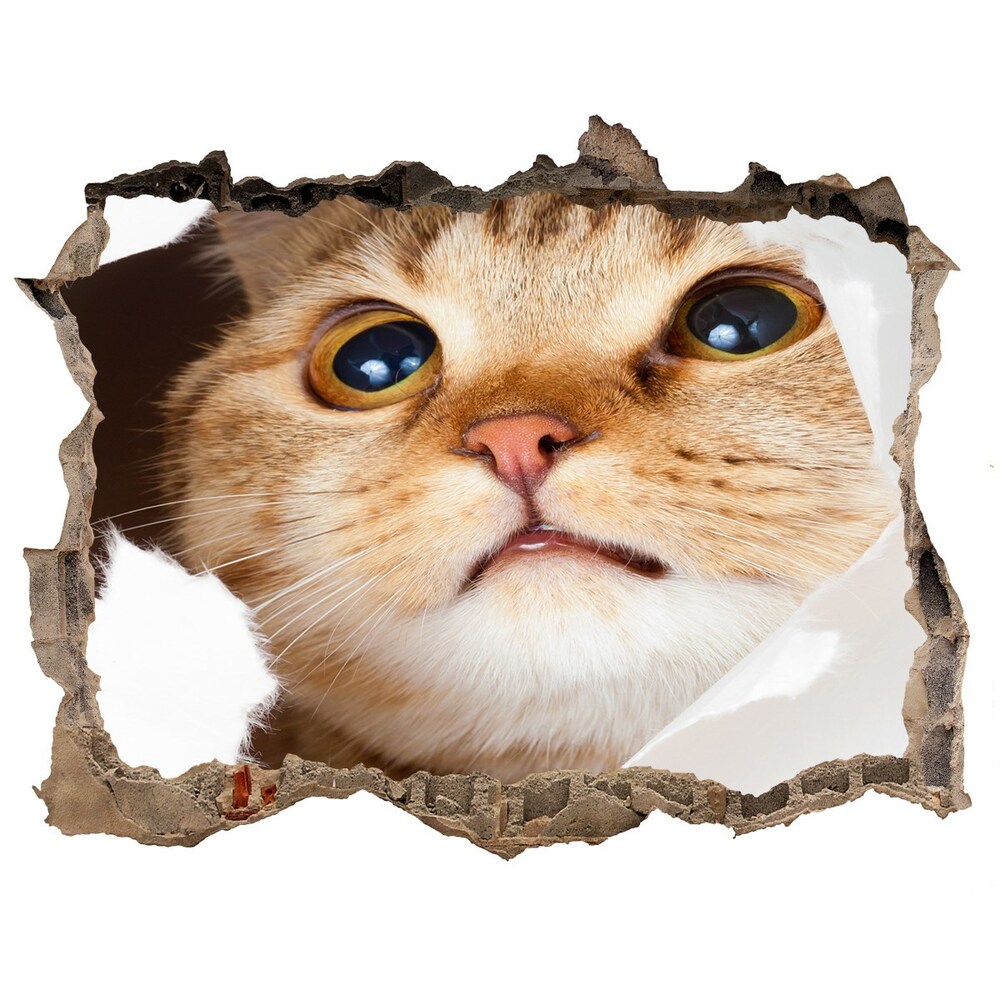 Díra 3D fototapeta na stěnu Mačka v diere