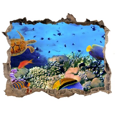 Díra 3D fototapeta nálepka Koralový útes