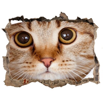 Díra 3D fototapeta nálepka Mačka