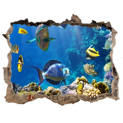 Fototapeta díra na zeď Koralový útes