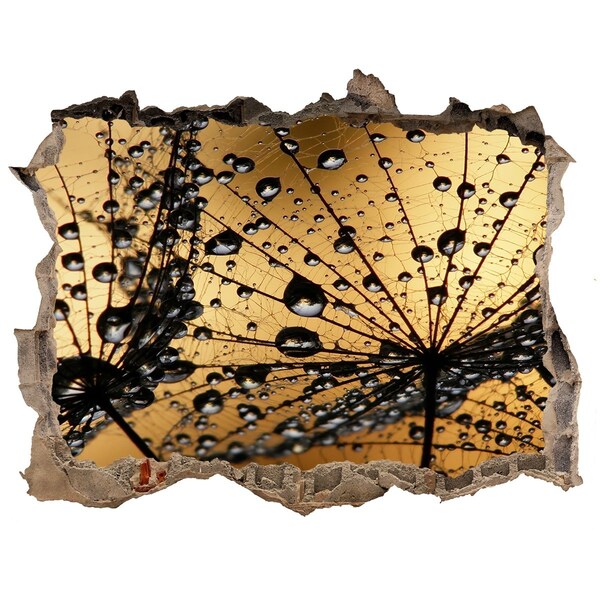 Samolepící nálepka na zeď Kvapky na listoch