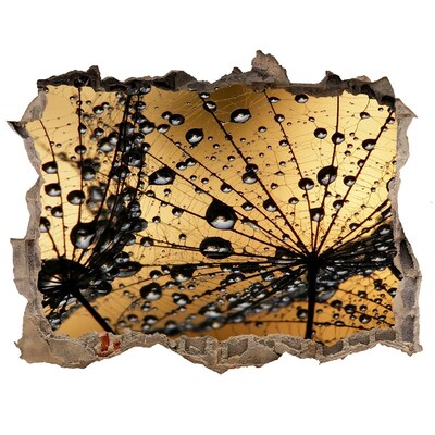 Samolepící nálepka na zeď Kvapky na listoch