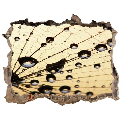 Samolepící nálepka Kvapky vody na motýlích krídlach