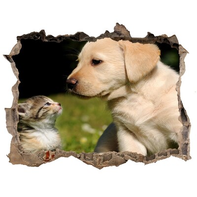 Díra 3D fototapeta nálepka Pes a mačka na lúke