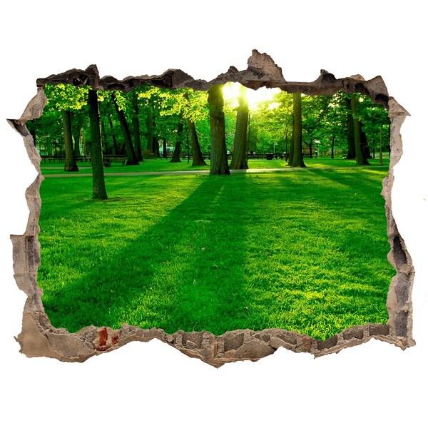 Díra 3D ve zdi nálepka Zelený park na slnku