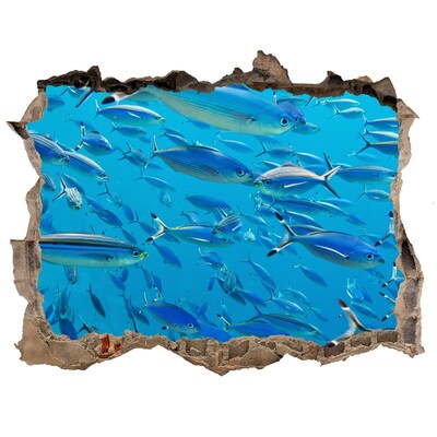 Díra 3D fototapeta nálepka Koralových rýb