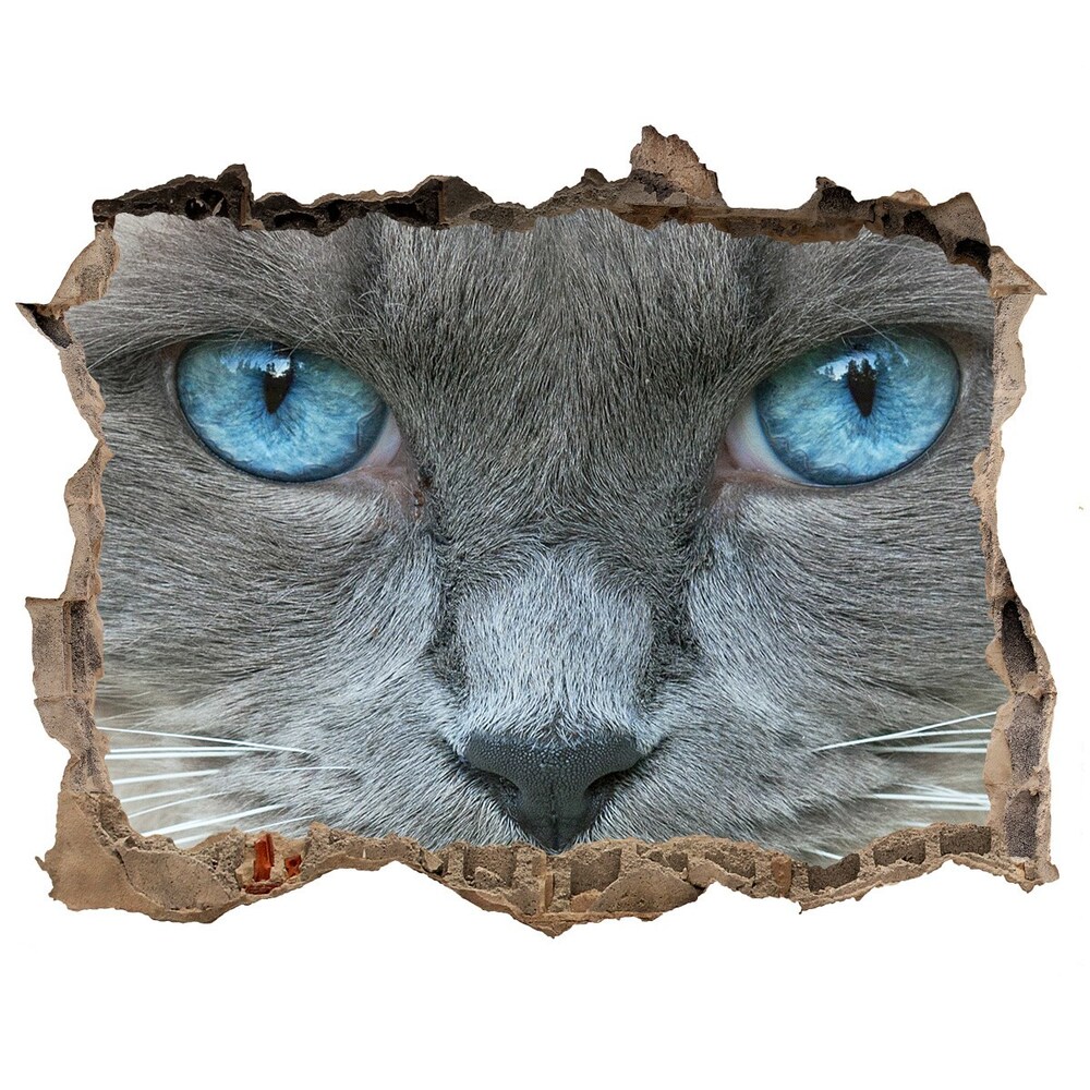 Díra 3D fototapeta na stěnu Mačacie modré oči