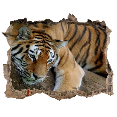 Díra 3D fototapeta nálepka Tiger na strome