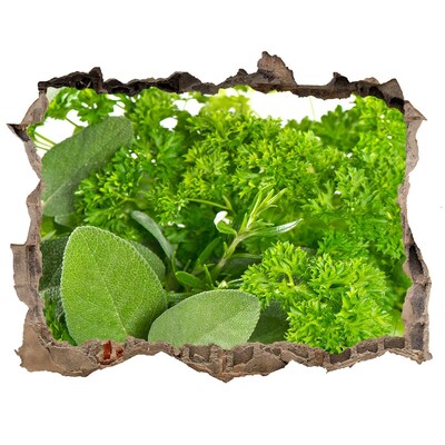 Nálepka 3D díra Zelená oáza v betóne