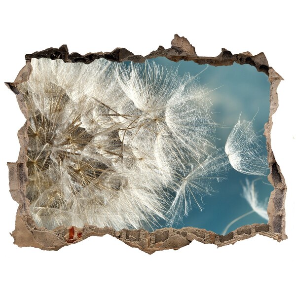 Samolepící nálepka na zeď Púpavy proti oblohe