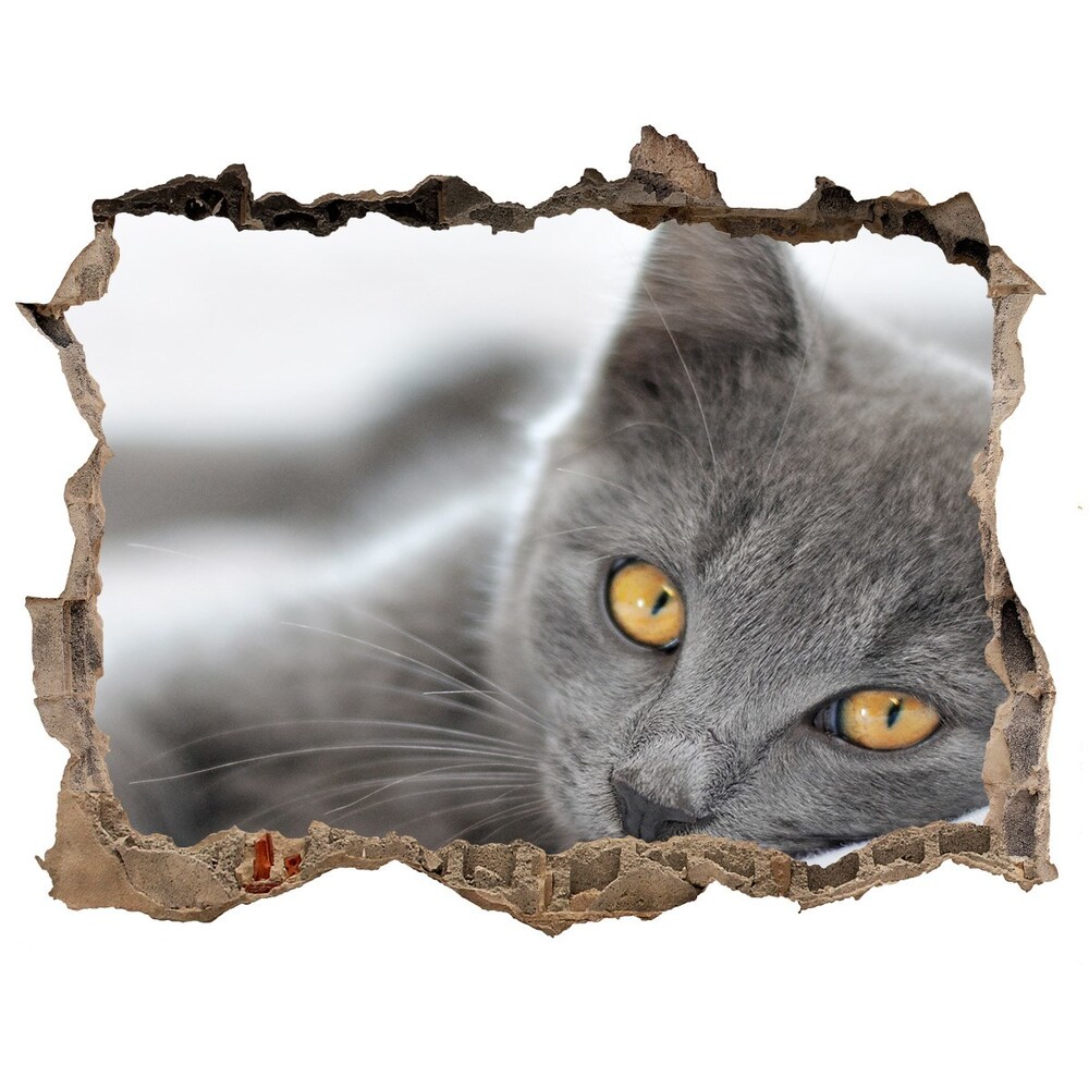 Díra 3D fototapeta nálepka Sivá mačka