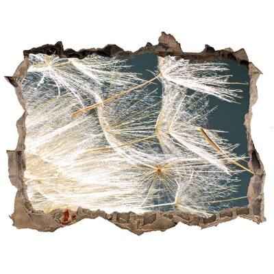 Samolepící nálepka Kvetinová krajina za dierou