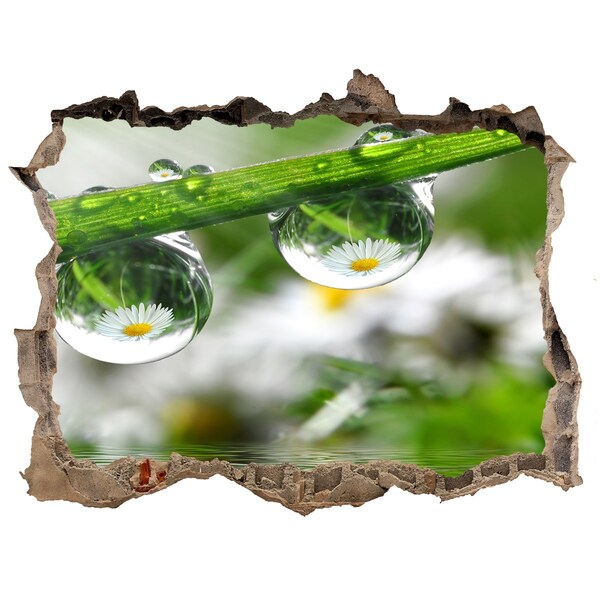 Samolepící díra nálepka Kvetinová oáza s kvapkami vody