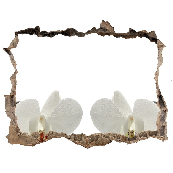 Samolepící díra na stěnu nálepka Kvety v betóne