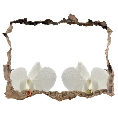 Samolepící díra na stěnu nálepka Kvety v betóne