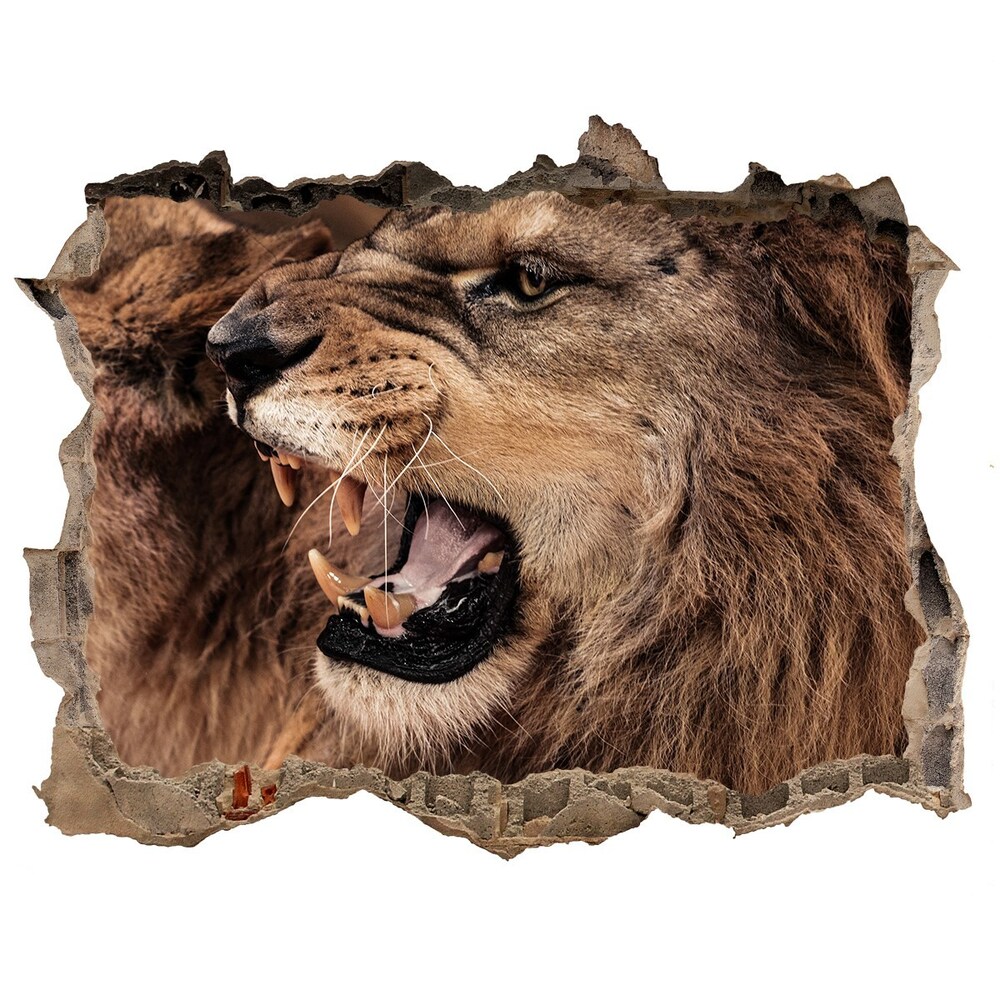 Díra 3D fototapeta na stěnu Revúci levy