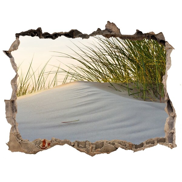 Samolepící díra na stěnu Duna vo svetle západu slnka